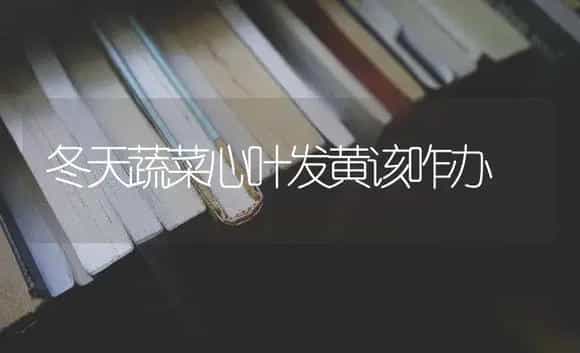 冬天蔬菜心叶发黄该咋办 | 蔬菜种植