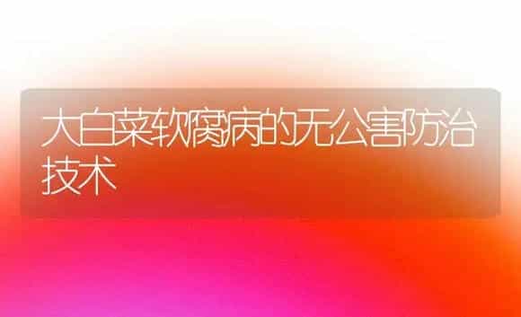 大白菜软腐病的无公害防治技术 | 植物病虫害