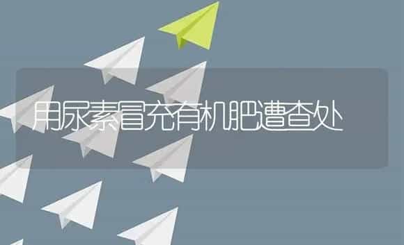 用尿素冒充有机肥遭查处 | 植物肥料