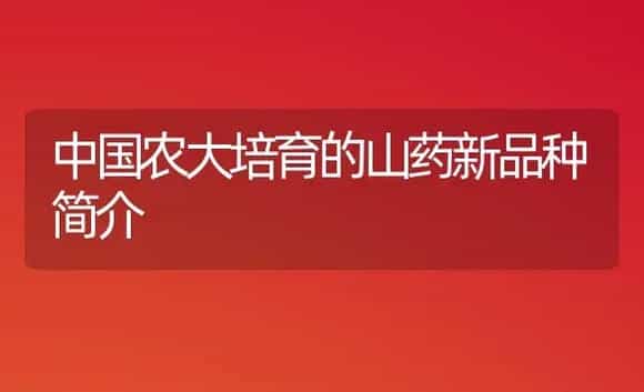 中国农大培育的山药新品种简介 | 植物农药