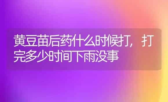 黄豆苗后药什么时候打,打完多少时间下雨没事 | 植物农药