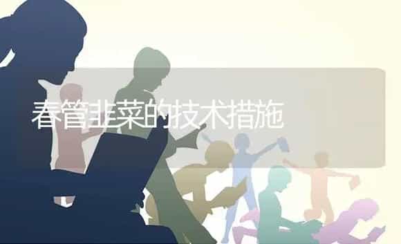 春管韭菜的技术措施 | 蔬菜种植