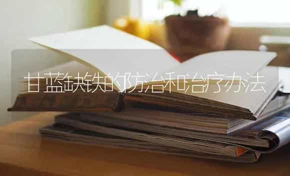 荷兰豆施肥的技巧有哪些？注意这些用量 | 蔬菜种植