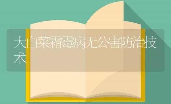 大白菜霜霉病无公害防治技术 | 植物病虫害