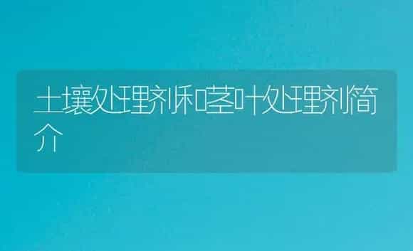 土壤处理剂和茎叶处理剂简介 | 植物病虫害