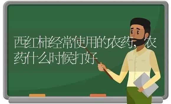 西红柿经常使用的农药,农药什么时候打好 | 植物农药