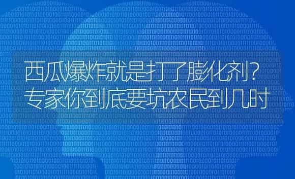 西瓜爆炸就是打了膨化剂?专家你到底要坑农民到几时 | 蔬菜种植