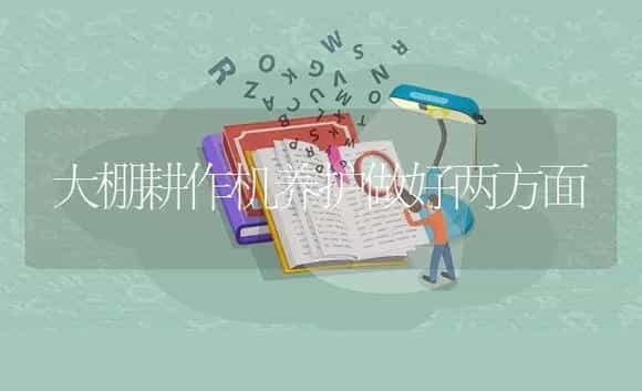 大棚耕作机养护做好两方面 | 农资农机