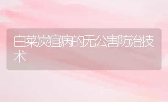 白菜炭疽病的无公害防治技术 | 植物病虫害