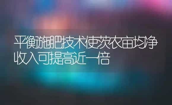 平衡施肥技术使茨农亩均净收入可提高近一倍 | 植物肥料