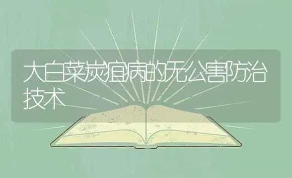 大白菜炭疽病的无公害防治技术 | 植物病虫害