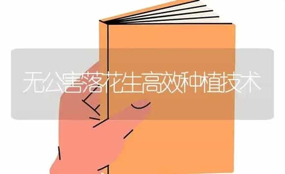 无公害落花生高效种植技术 | 蔬菜种植