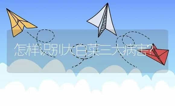 怎样识别大白菜三大病害？ | 植物病虫害