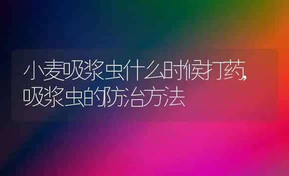 小麦吸浆虫什么时候打药,吸浆虫的防治方法 | 植物农药