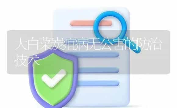 大白菜炭疽病无公害的防治技术 | 植物病虫害