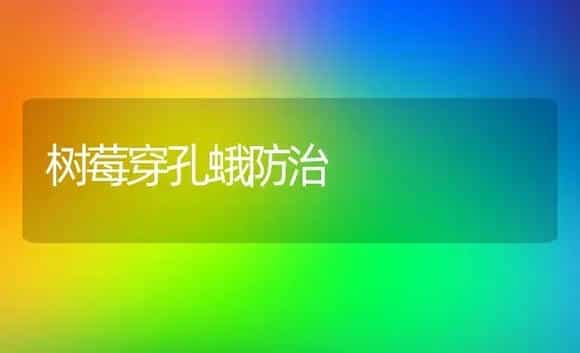 树莓穿孔蛾防治 | 植物病虫害
