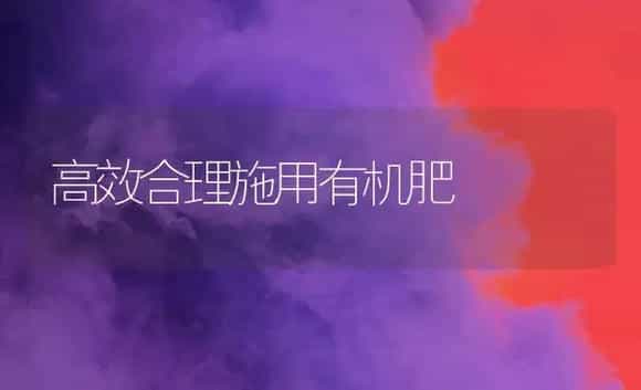 高效合理施用有机肥 | 植物肥料