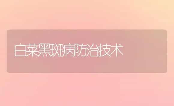 白菜黑斑病防治技术 | 植物病虫害