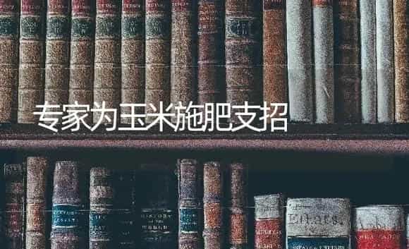 丝瓜的栽植窍门  才得高产 | 蔬菜种植