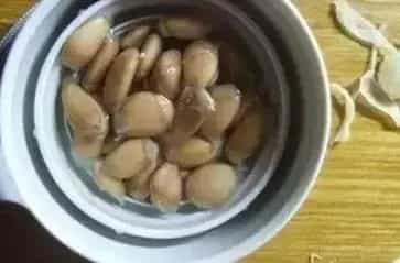 柠檬籽怎么种小盆栽？日常管理要点有哪些？