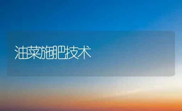 油菜施肥技术 | 植物肥料