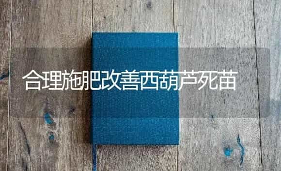 合理施肥改善西葫芦死苗 | 蔬菜种植