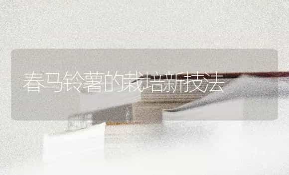 春马铃薯的栽培新技法 | 蔬菜种植