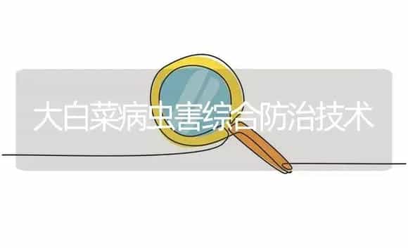 大白菜病虫害综合防治技术 | 植物病虫害