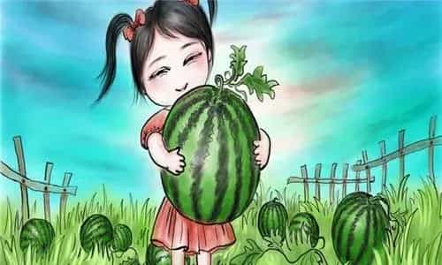 中牟西瓜上市时间是什么时候?为什么这么火?