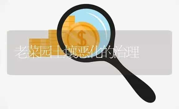 老菜园土壤恶化的治理 | 植物病虫害