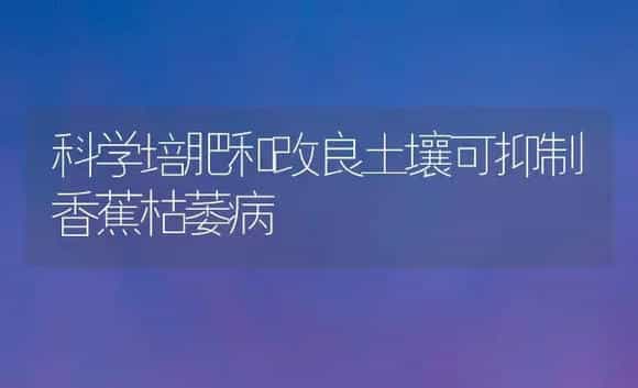 科学培肥和改良土壤可抑制香蕉枯萎病 | 植物病虫害