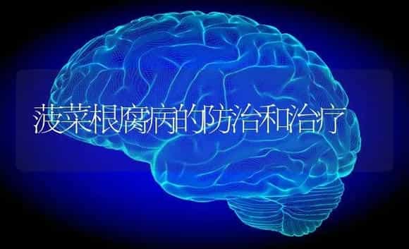 菠菜根腐病的防治和治疗 | 蔬菜种植