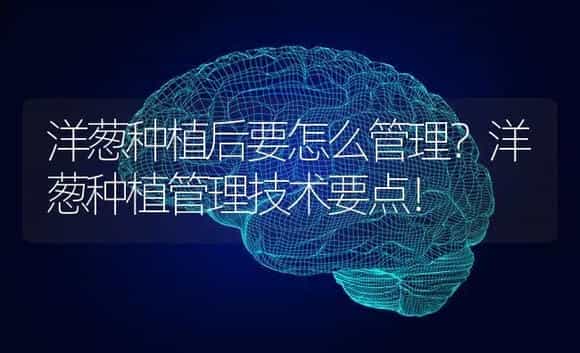 荷兰豆种植 | 蔬菜种植