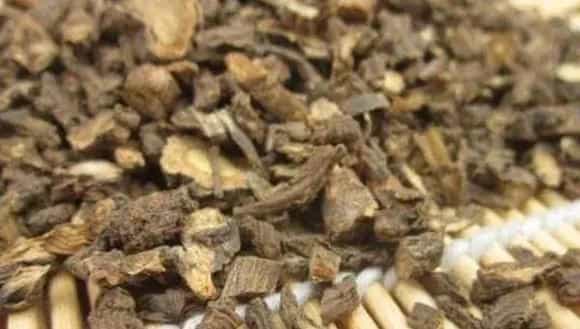 适合农村种植的药材品种