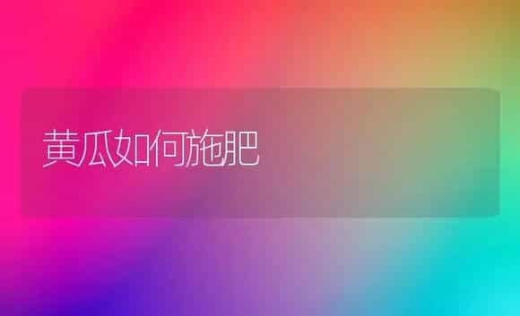 黄瓜如何施肥 | 植物肥料