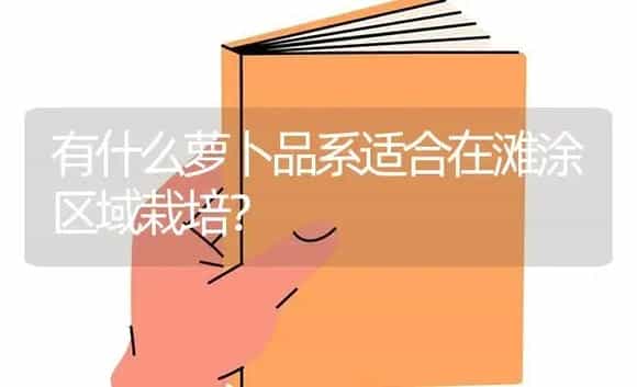 有什么萝卜品系适合在滩涂区域栽培? | 蔬菜种植