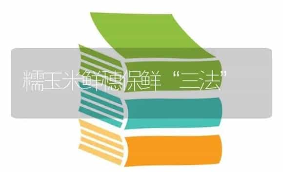糯玉米鲜穗保鲜“三法” | 蔬菜种植