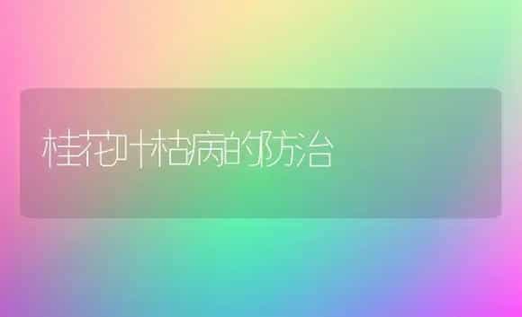桂花叶枯病的防治 | 植物病虫害