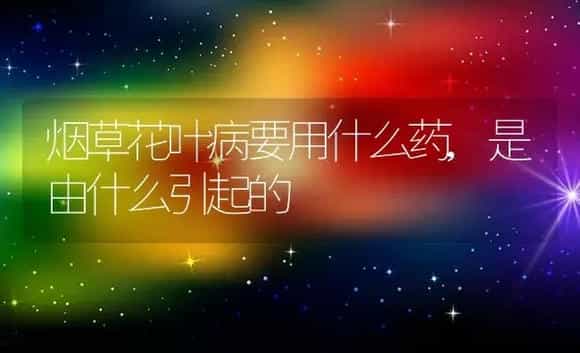 烟草花叶病要用什么药,是由什么引起的 | 植物农药
