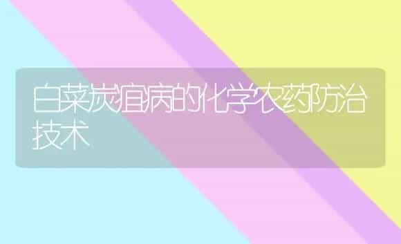 白菜炭疽病的化学农药防治技术 | 植物病虫害