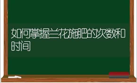 如何掌握兰花施肥的次数和时间 | 植物肥料