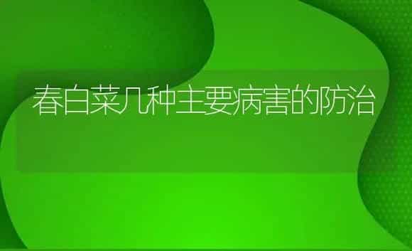春白菜几种主要病害的防治 | 植物病虫害