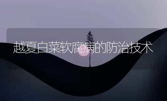 越夏白菜软腐病的防治技术 | 植物病虫害