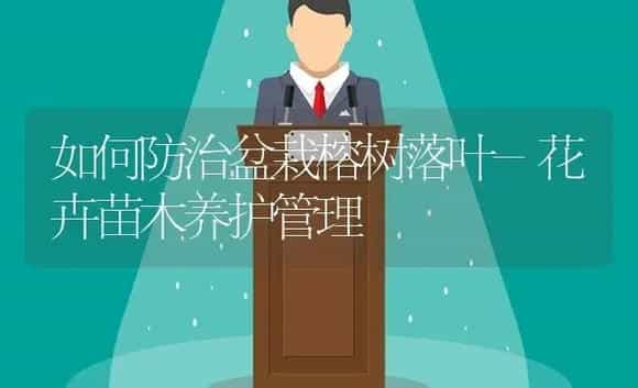 施肥前多后少 水稻产量提高 | 植物肥料