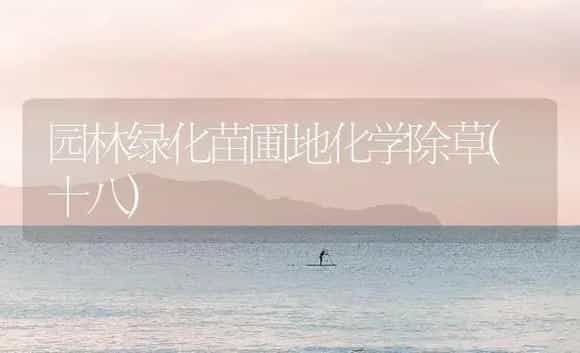 君子兰日烧病 | 植物病虫害