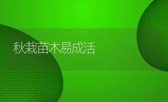 苗木溃疡病防治 | 植物病虫害