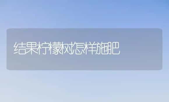 结果柠檬树怎样施肥 | 植物肥料