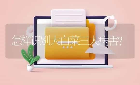 怎样识别大白菜三大病害？ | 植物病虫害
