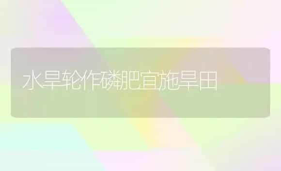 水旱轮作磷肥宜施旱田 | 植物肥料