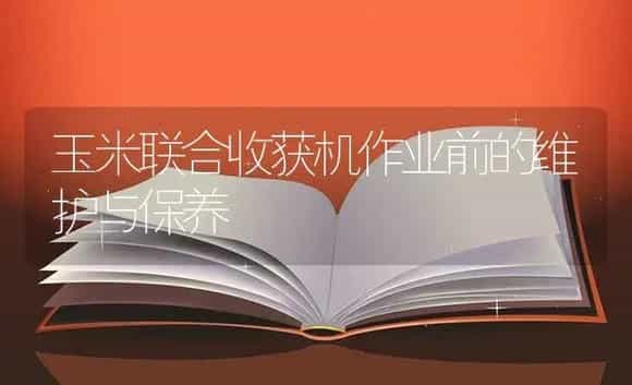 玉米联合收获机作业前的维护与保养 | 农资农机